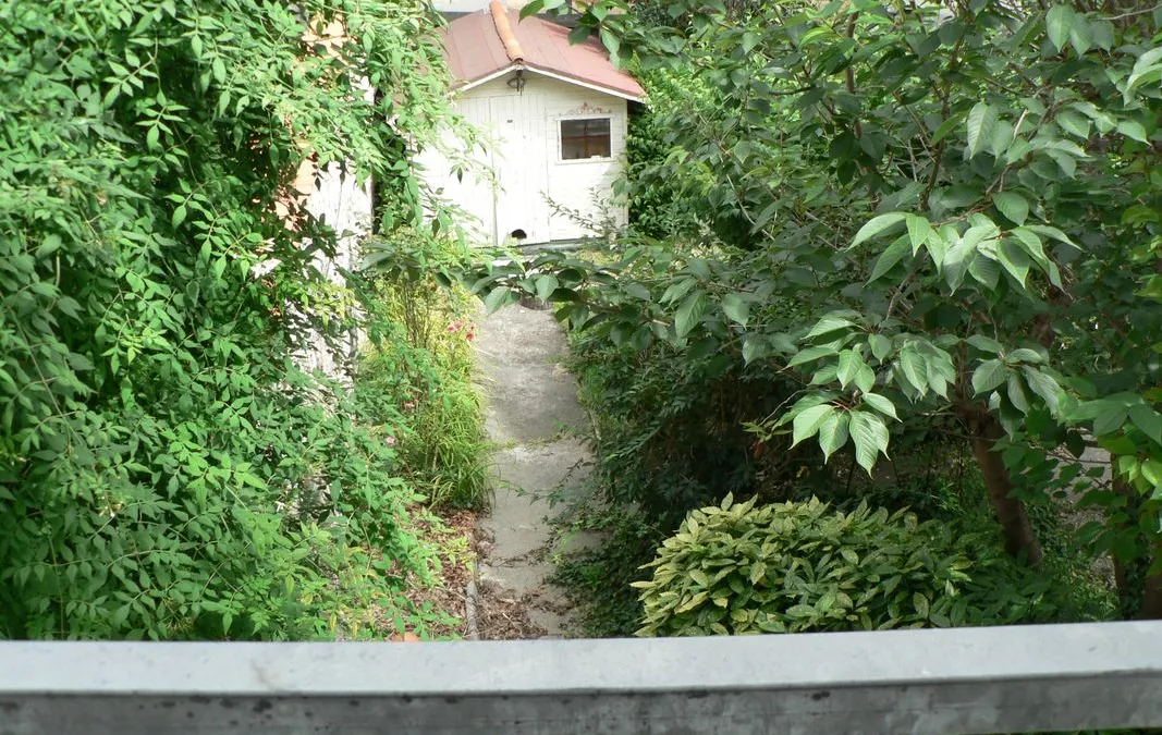Photo 10