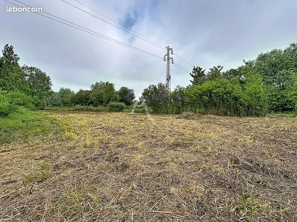 Terrain 886 m² COULOGNE