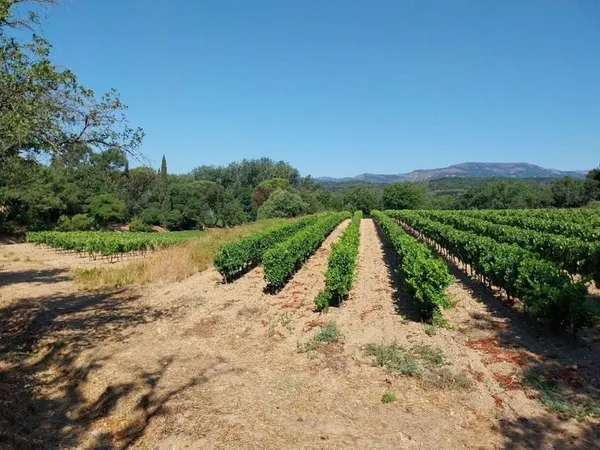 Terrain 620 m²