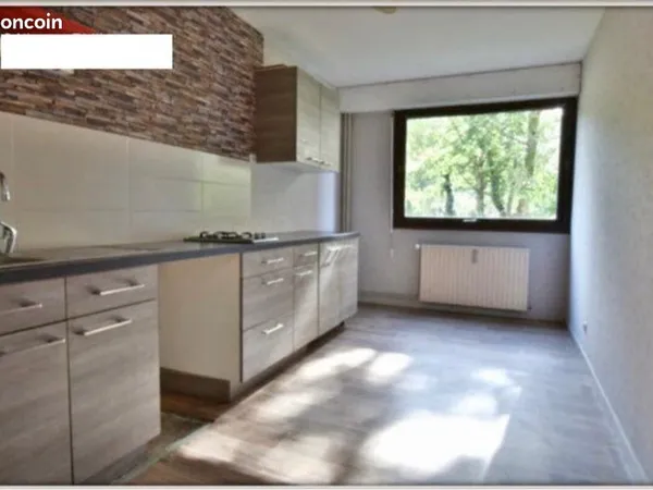 Appartement 43m2 F1bis