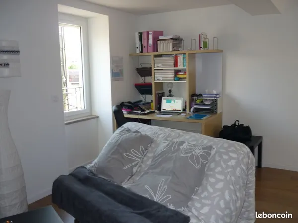 Loue studio meuble centre ville roanne