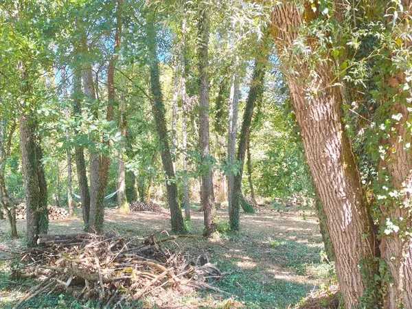 Terrain de loisir 1 340 m² - Sexey-aux-Forges - 10 min CHRU / 20 min Nancy 15 000