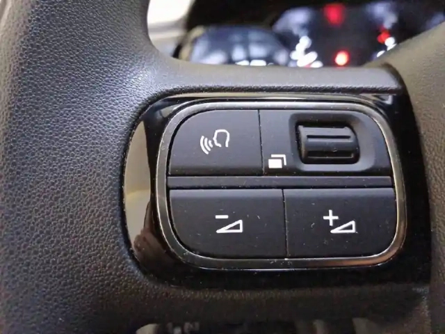 Citroën C3 bluehdi 100 ch bvm6 — photo 27