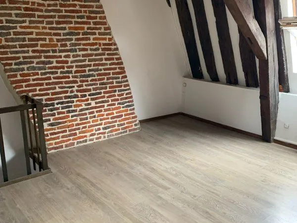 Magnifique duplex