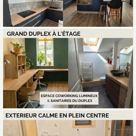 Colocation premium 5 chambres - metz centre historique - 123 m² - coworking