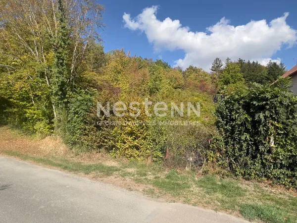 BAR-LE-DUC terrain de loisirs de 2915m²