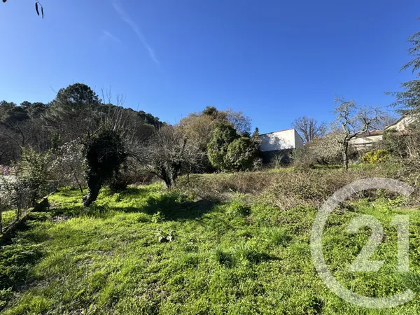 Terrain 1556 m²