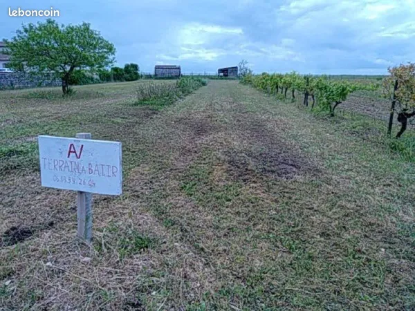 Terrain 2006 m2