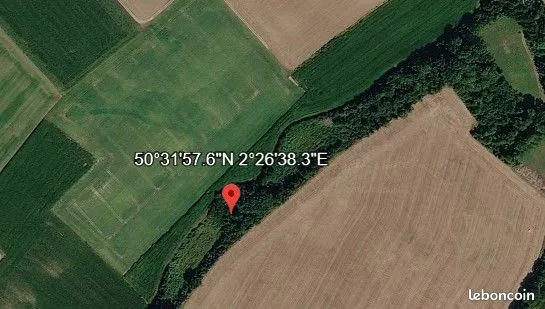 Parcelles boisée naturelle