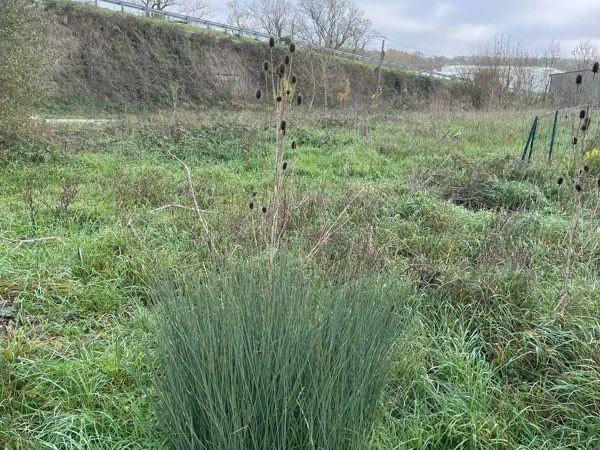 Terrain constructible Cavignac