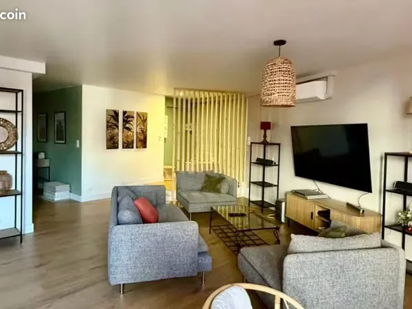 Grand appartement centre ville
