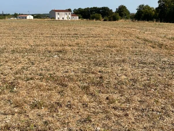 Terrain constructible