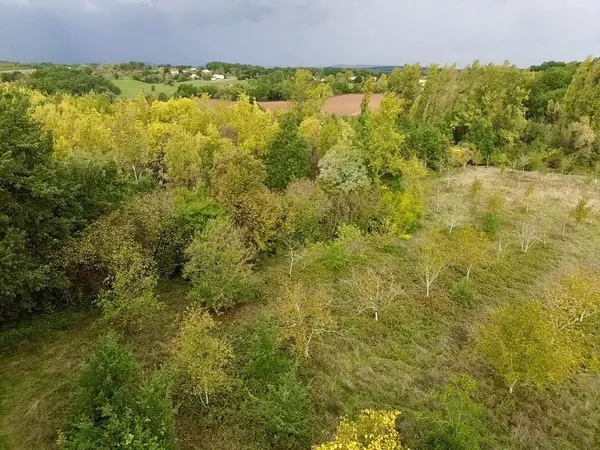 Maison à rénover avec bois et fruitiers