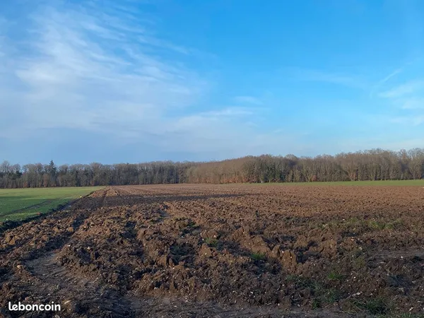 Terrain 2270 m² CHAMPIGNY LA FUTELAYE