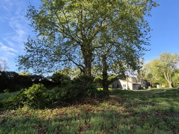 Terrain 24000 m²
