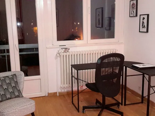 Propose 1 belle chambre dans colocation près Genève, 3 jeunes, secteur calme et sûr - Ville-la-Grand