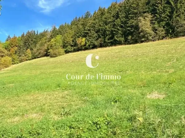 Bogeve - terrain agricole 7910m2