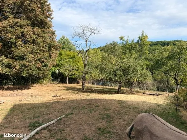 Terrain 3 439 m² Ottrott