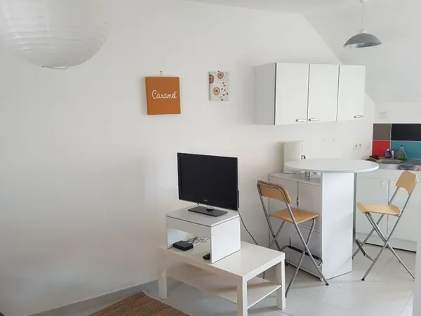 Appartement 1 pièce 20 m²