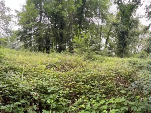 Terrain 903 m²