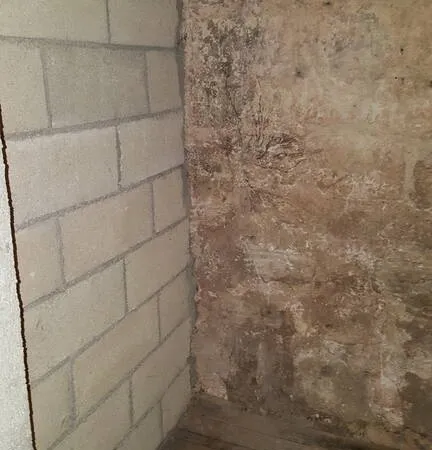 Parking/Garage/Box
