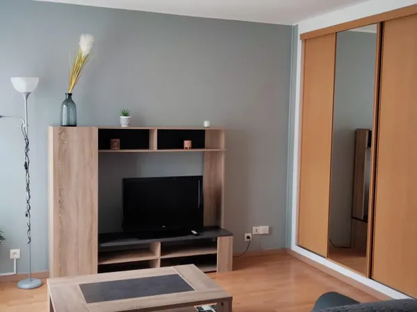 Appartement 1 pièce 29 m²
