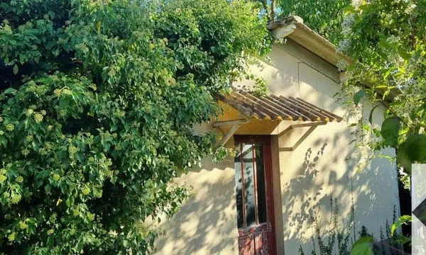 Maison 1 pièce 40 m²
