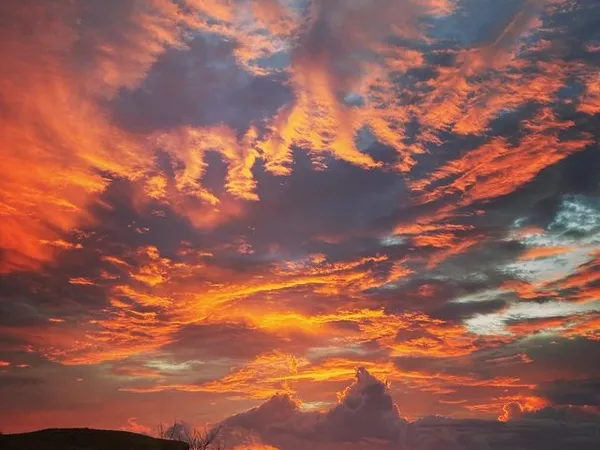 Loue appartement