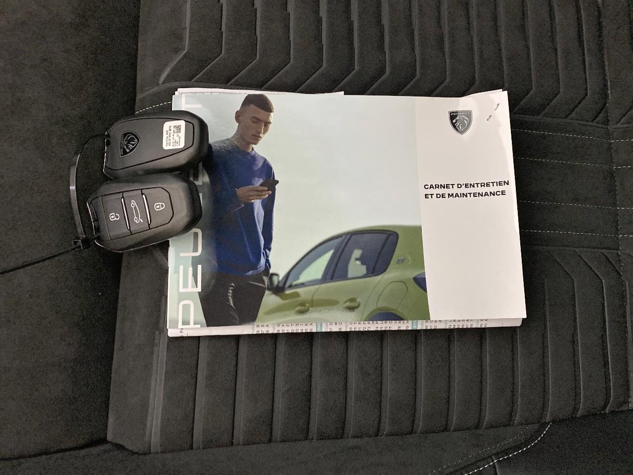 Peugeot 3008 hybrid 145 e-dcs6 gt — photo 13