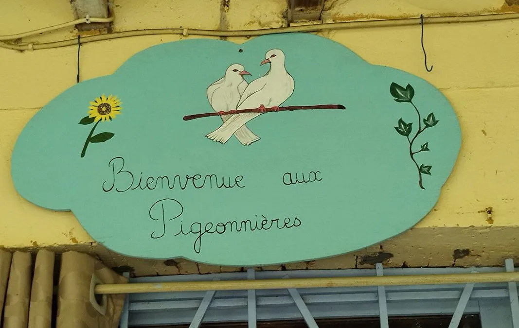 Photo 12