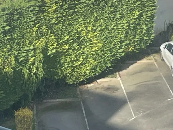 Une place de parking dans résidence sécurisée