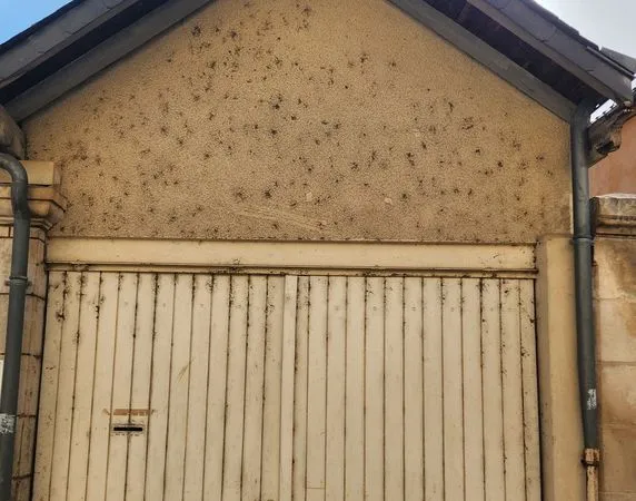 Garage à louer