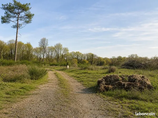 Terrain 614 m² Verrie