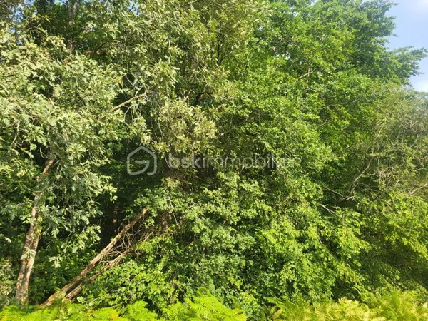 Terrain 2160 m²