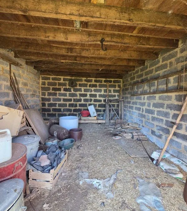 Photo 15