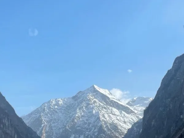 Collocation à l'année