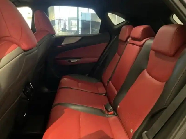 Lexus Nx 450h+ f sport executive 4wd my24 — photo 14