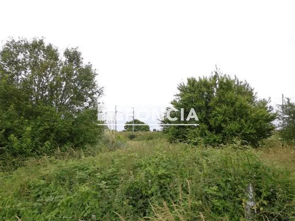 Terrain Vente Mont-Dol  3337m² 16000€