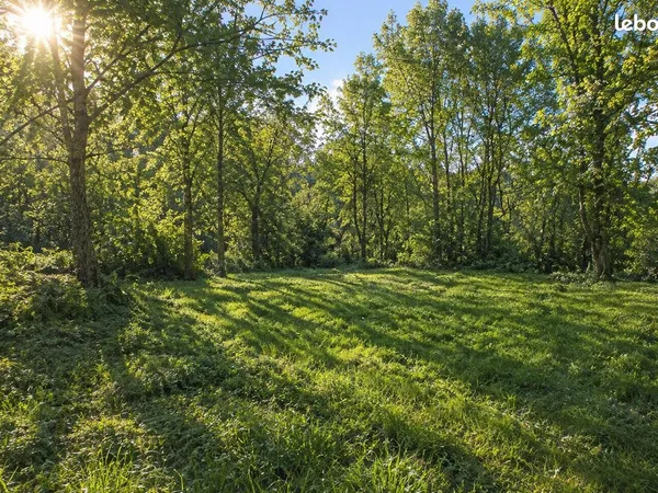 Terrain 1638m2 arboré et constructible
