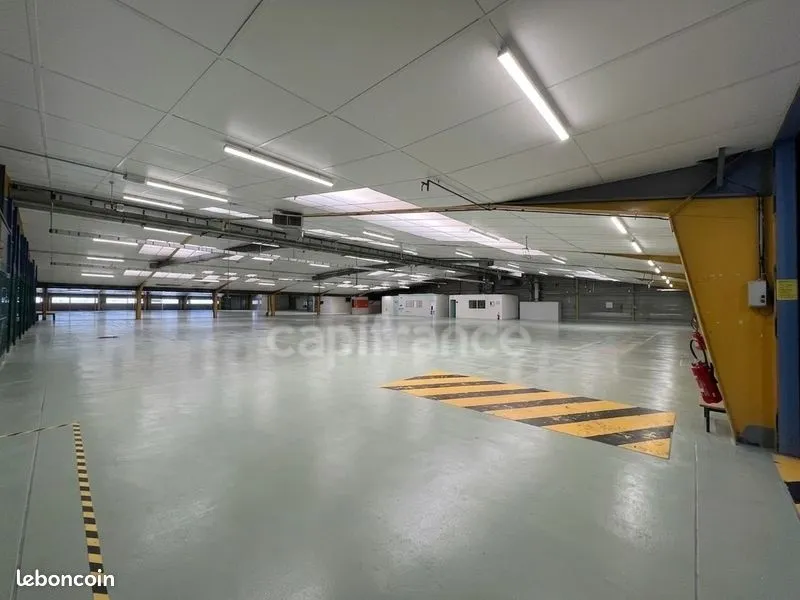 Photo 4