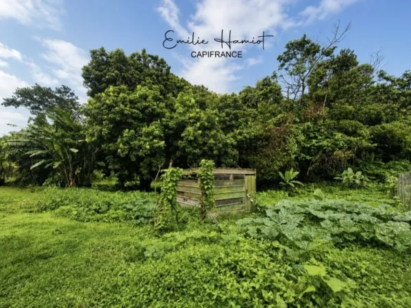 Terrain 729 m²