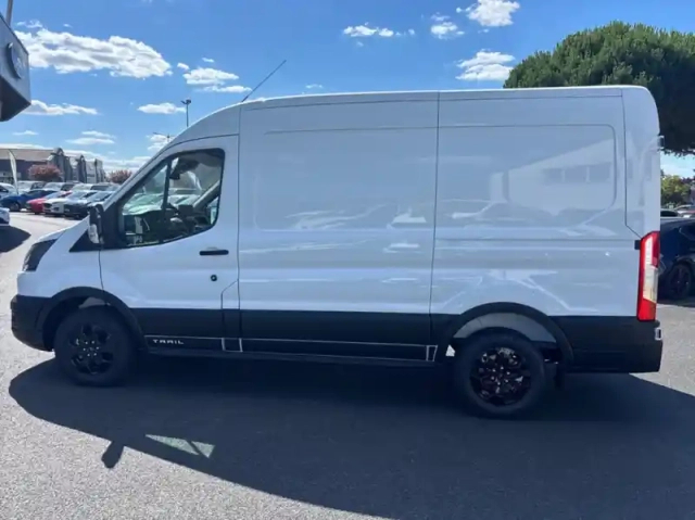 Ford Transit fourgon fg t310 l2h2 2.0 ecoblue 130ch trend — photo 24