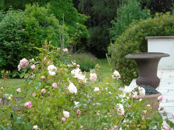 Rare maison sur parcelle arborée de 2700 m2