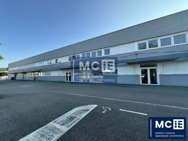 Bureau 290 m²