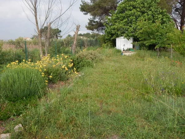 TERRAIN JARDIN
