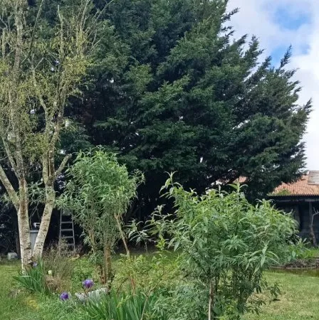 Terrain bourg Saint Etienne De Mer Morte 450 m2