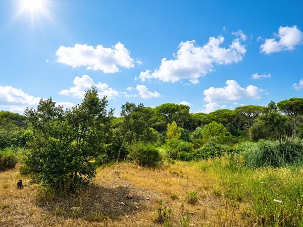 Terrain 518 m²