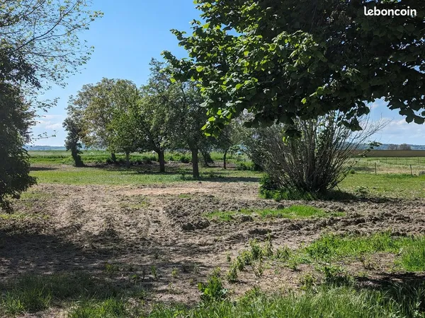 Terrain 1164 m² BUSSIERES ET PRUNS