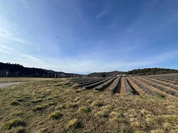 Terrain 623 m²