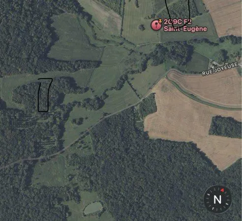 Terrain et bois